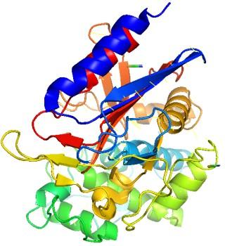 Figure ) Putative key residues in the active