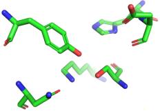 structure DAP overall structure Figure.