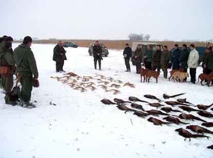 vadgazdálkodás, hazai és nemzetközi természetvédelmi jog, állatvédelem.