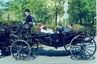1962 Debreceni Agrártudományi Főiskola 1970 Debreceni Agrártudományi Egyetem Debreceni