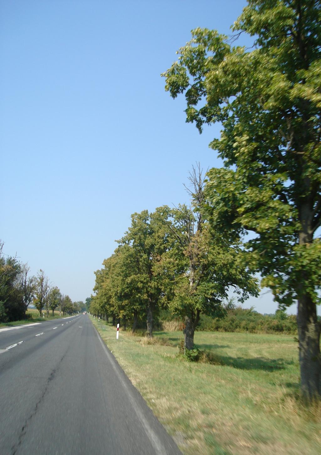 Településrendezési
