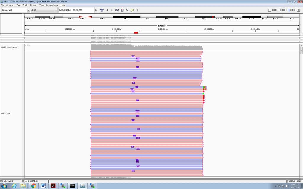 Sample with Repeat Expansion note