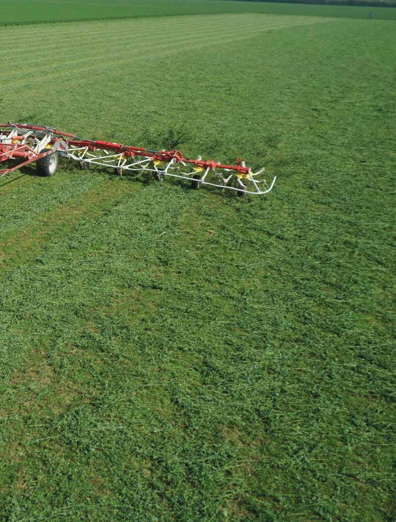 LANDINI 5-ÖS SOROZAT PRAKTIKUS, ELNYŰHET- ETLEN EGYSZERŰ EM 5-ös Műszaki fejlesztés és a minőség iránti igény: ezek azok az értékek, amelyek több mint 30 éve fémjelzik az Argo Tractors Cégcsoport