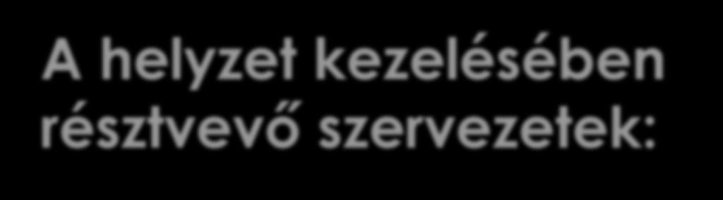 A helyzet kezelésében résztvevő szervezetek: Igazgatási Osztály: Közterületre történő szabálytalan kivezetések ellenőrzése.