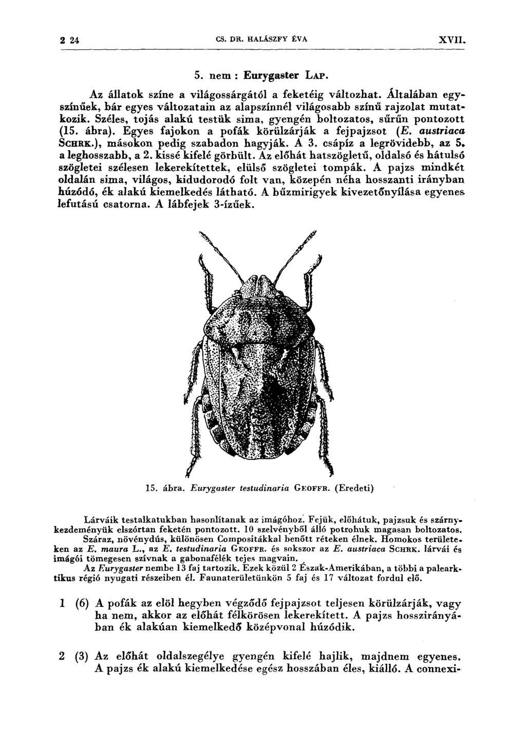 2 24 CS. DR. HALÁSZFY ÉV A XVII. 5. nem : Eurygaster LAP. Az állatok színe a világossárgától a feketéig változhat.