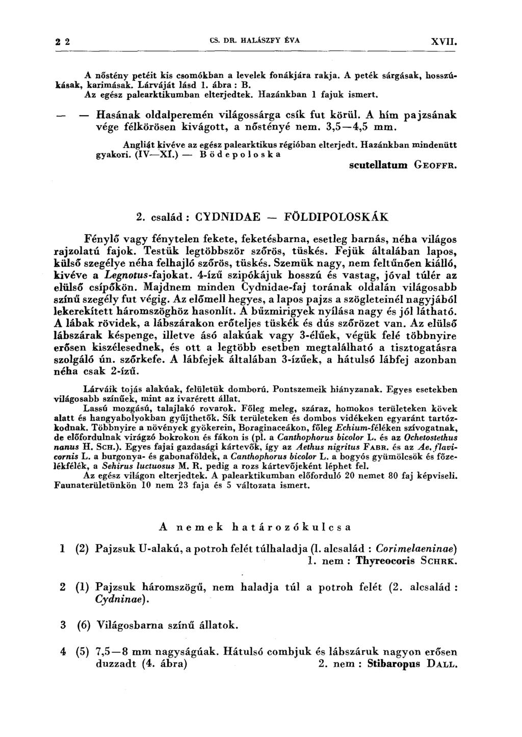 2 2 CS. DR. HALÁSZFY ÉVA XVII. A nőstény petéit kis csomókhan a levelek fonákjára rakja. A peték sárgásak, hosszúkásak, karimásak. Lárváját lásd l. ábra : B. Az egész palearktikumhan elterjedtek.