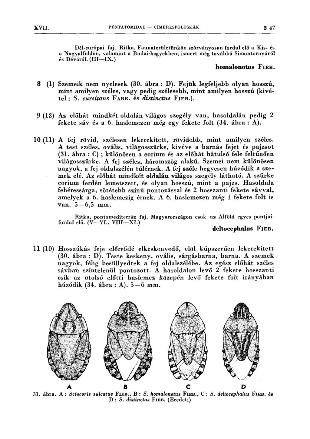 XVII. PENTATOMIDAE - CÍMERESPOLOSKÁK 2 47 Dél-európai faj. Ritka.