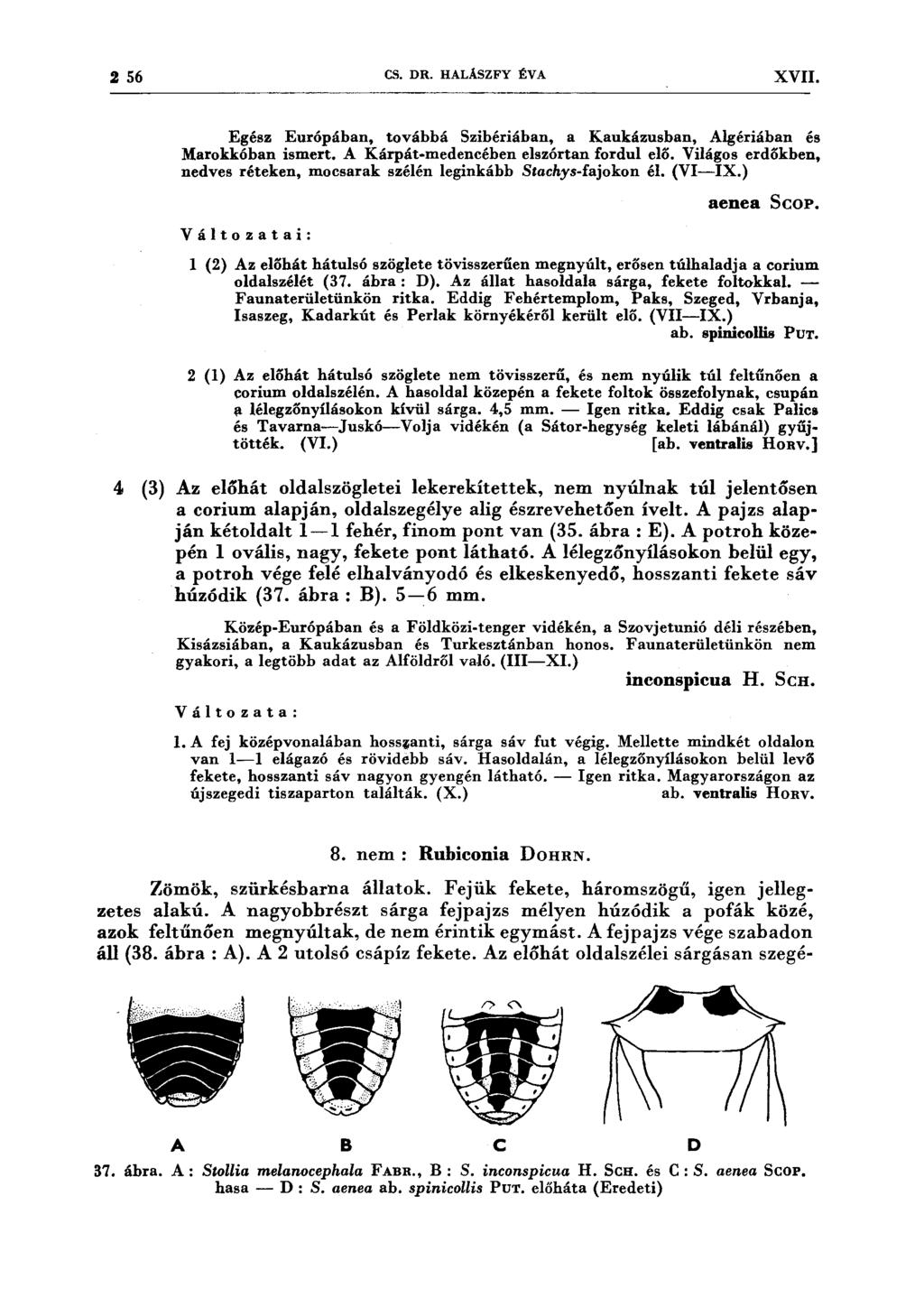 2 56 CS. DR. HALÁSZFY ÉV A XVII. Egész Európában, továbbá Szibériában, a Kaukázusban, Algériában és Marokkóban ismert. A Kárpát-medencében elszórtan fordul elő.