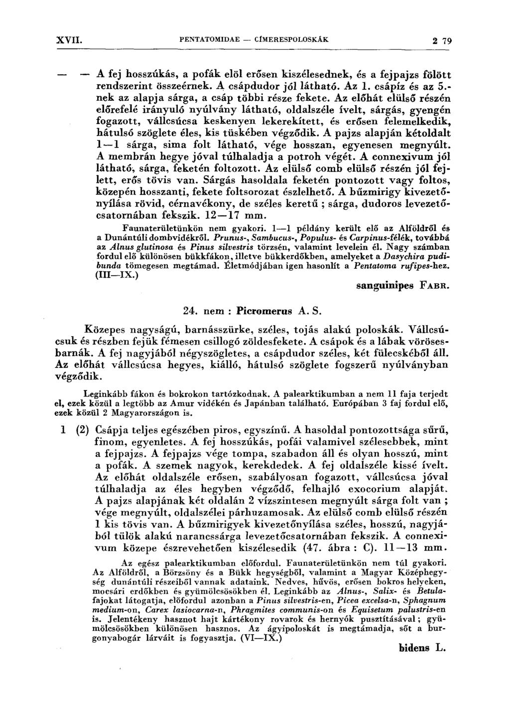 XVII. PENTATOMIDAE - C1MERESPOLOSKÁK 2 79 A fej hosszúkás, a pofák elöl erősen kiszélesednek, és a fejpajzs fölött rendszerint összeérnek. A csápdudor jóllátható. Az l. csápíz és az 5.