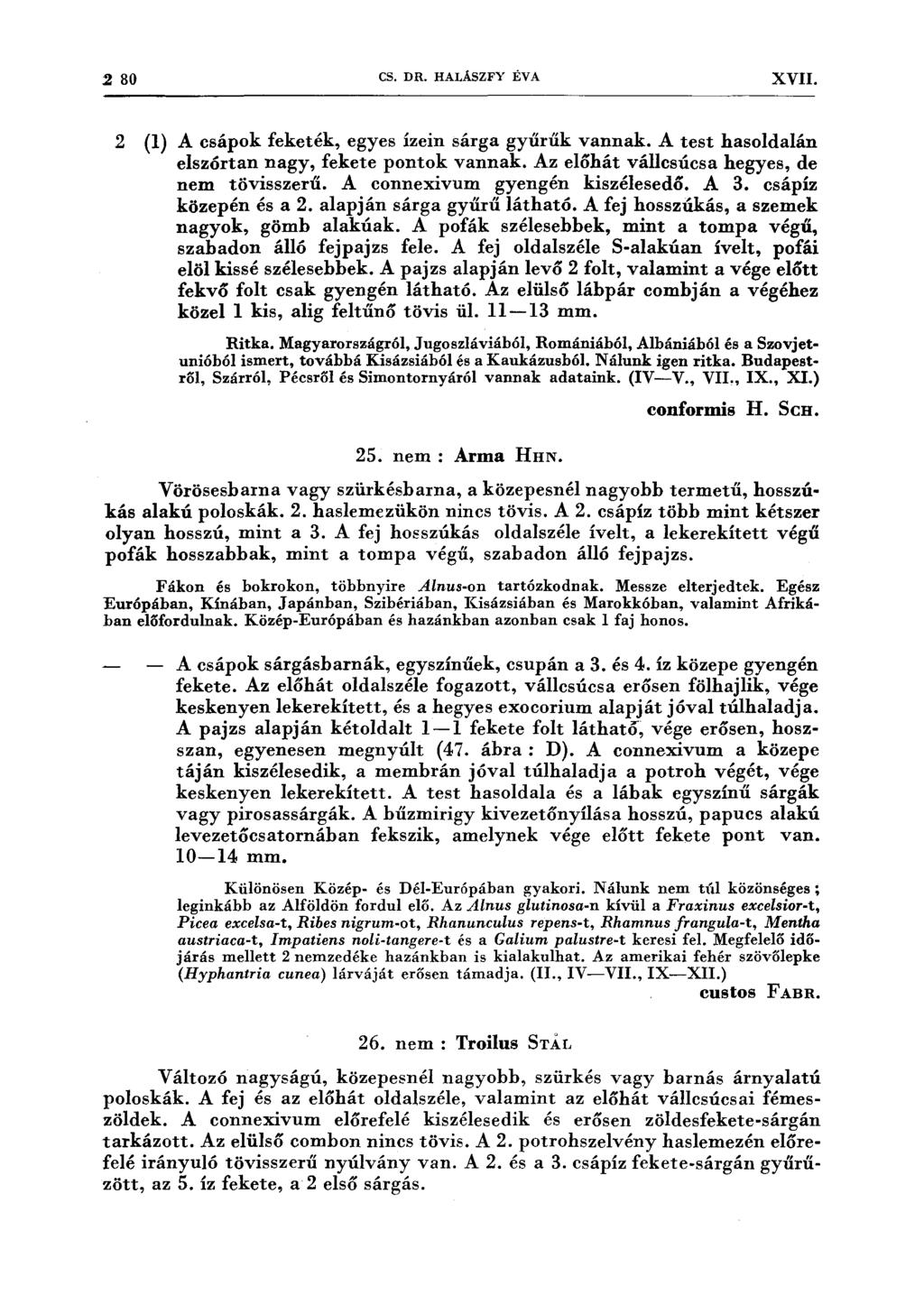 2 80 CS. DR. HALÁSZF)' EV A XVII. 2 (l) A csápok feketék, egyes ízein sárga gyűrűk vannak. A test hasoldalán elszórtan nagy, fekete pontok vannak. Az előhát vállcsúcsa hegyes, de nem tövisszerű.