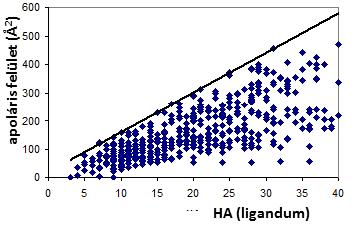 hidrofób hozzájárulást becsülhessük, ábrázoltuk a ligandum apoláris felületének nagyságát [180] a nehézatomok számának függvényében a fentebb leírt módon kiválasztott 1297 komplex 571 különböző