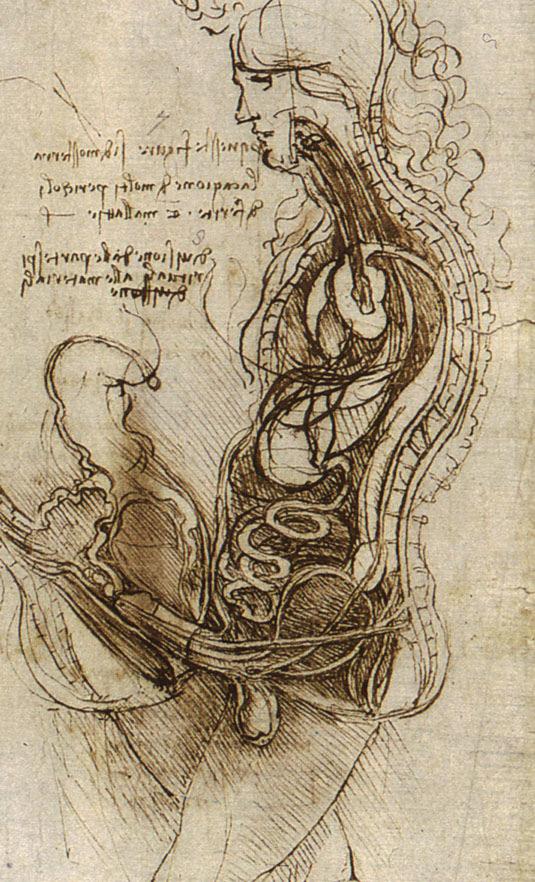 Domoki Ferenc Leonardo da Vinci Coition of a Hemisected Man and Woman, ca 1492 The Fetus and the Linings of the Uterus, ca 1512 A nemi aktus