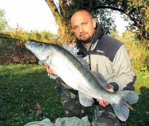 A 2018. év legnagyobb fogásai A Ráckevei Duna-ág a tavalyi évben is számos szép fogással örvendeztette meg horgászait.
