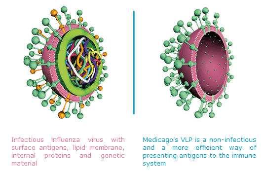 Baculo-H5 α-h5 AIV H5 rfpv-h5 rndv-h5 rdev-h5 H5-haemagglutinin antigenszerkezetileg egyezik a járványt