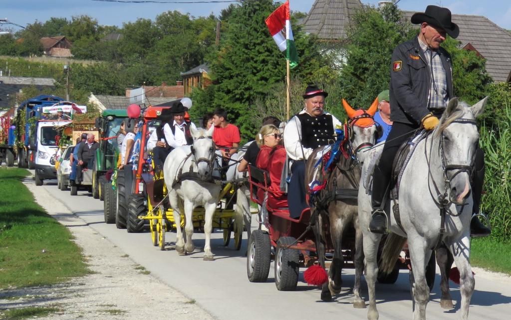 LETENYE VÁROS RENDEZVÉNYTERVE 2019. FEBRUÁR 1. 2020. JANUÁR 31.