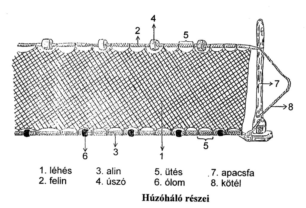 A földművek és műtárgyak helyes megnevezése és a megoldó lap megfelelő helyére történő beírása darabonként 2 pont, összesen 12 pont. Háló részeinek helyes megnevezése 8 pont.