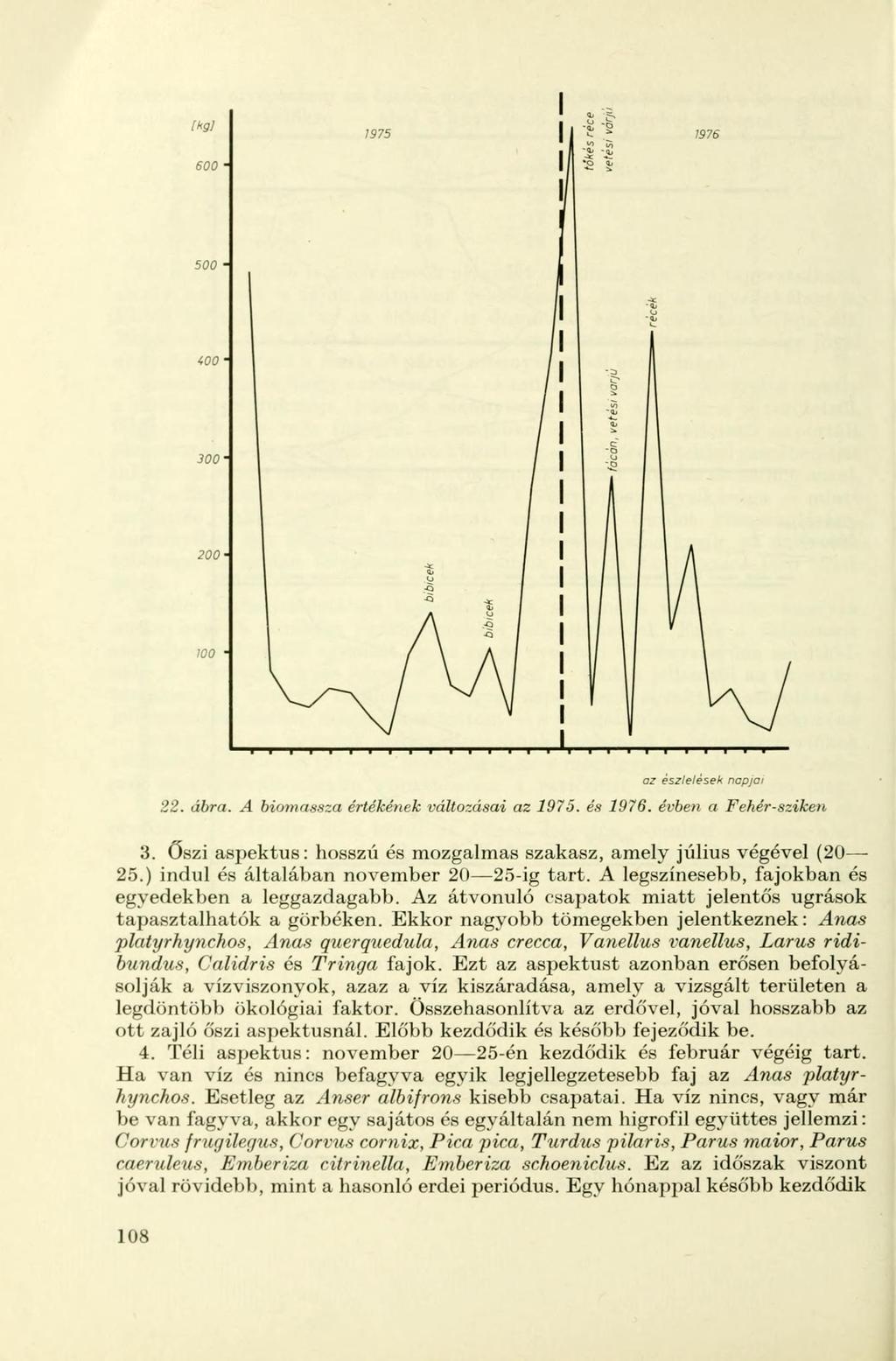 I I I I I I I I I I I I I I I I 1 1 I I I I I I I I az észlelések 22. ábra. A biomassza értékének változásai az 1975. és 1976. évben a Fehér-sziken napjai 3.