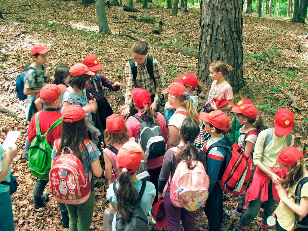 Az erdő rovaraival ismerkedünk Az erdei iskolai programok során a gyerekek közelebb kerülnek a természethez, annak minden alkotójához, és érzékenyebbé válnak a természet apró jelenségeire.