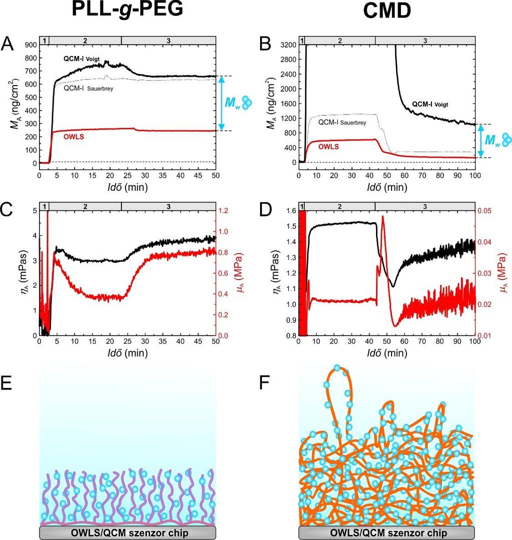 8. ábra CMD-ut és PLL-g-PEG nanorétegek leválasztása közben végzett in situ QCM-I mérések eredményei. Kötött/bezárt víz tömegének meghatározása OWLS eredmények felhasználásával.