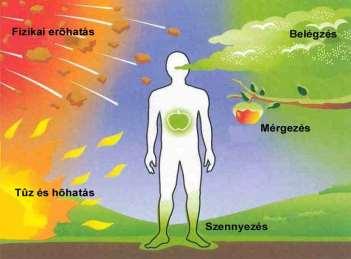 Ipari baleset hatásai MÉRGEZÉS Hatások1 Szennyezett tárgyakkal