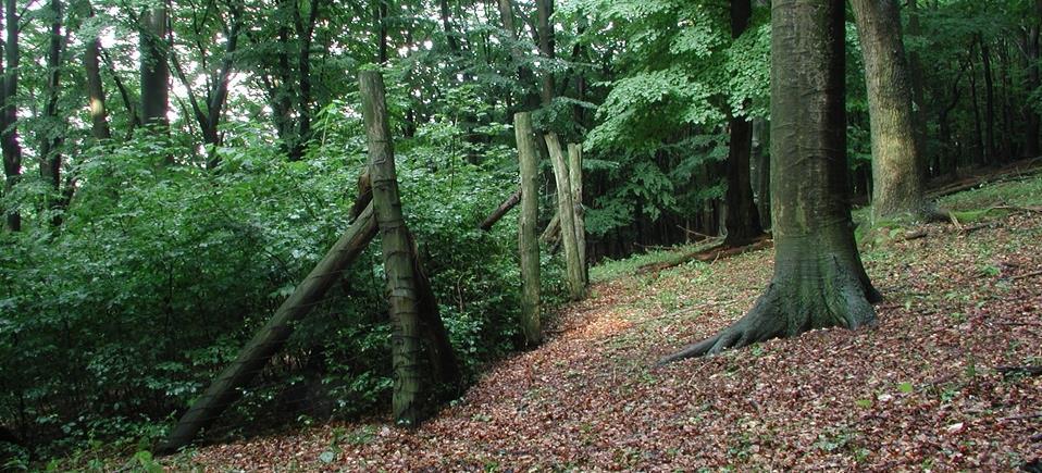 A természetesség növelése táji léptékben a nagyvad-állomány nagysága Közismert szempont, hogy a nagyvad-állomány nagyságát az