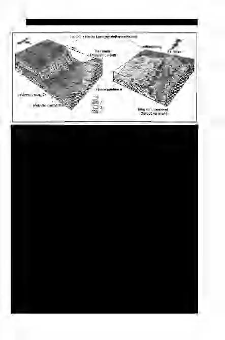 JUHÁSZ Gy. et al: Sztratigráfiai és fejlődéstörténeti vizsgálatok az Alföld pannóniai rétegsorában 55 2. ábra.