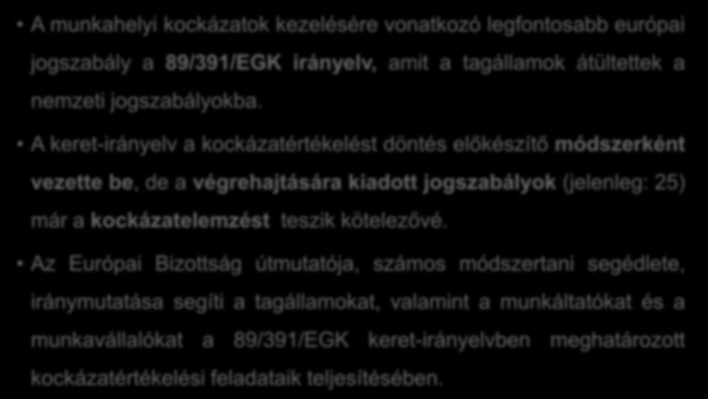 A munkahelyi kockázatok kezelésére vonatkozó legfontosabb európai jogszabály a 89/391/EGK irányelv, amit a tagállamok átültettek a nemzeti jogszabályokba.