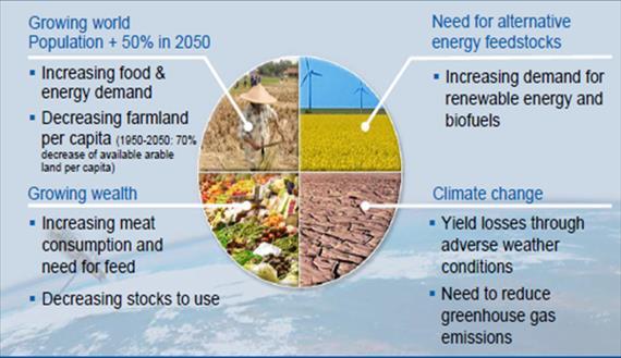 8. ECONOMIC ASPECTS OF FEED MANAGEMENT The nutritional requirements and the efficiency of feed utilisation of animals vary according to species, the stage of development of the animals and type of