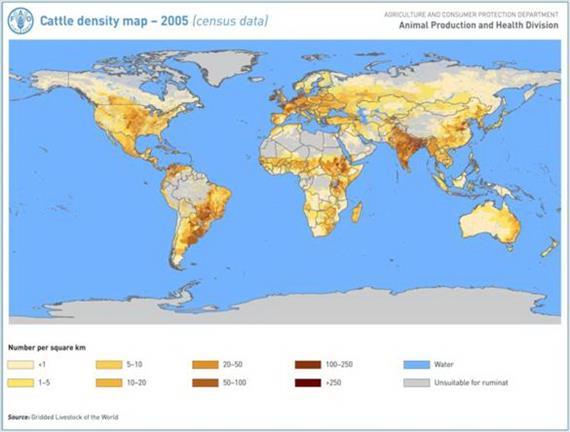 10. ECONOMICS of the CATTLE MEAT PRODUCTION Source: FAO, 2013. As we mentioned before we have to distinguish three types of cattle breeds. First is the beef cattle breed, on Figure 10.2.the country's distribution represented depending on their cattle breeds type.