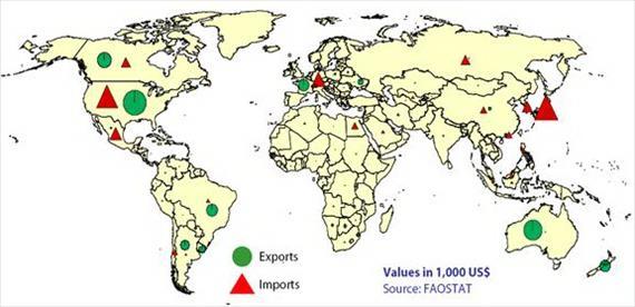 10. ECONOMICS of the CATTLE MEAT PRODUCTION Source: FAOSTAT, 2013.