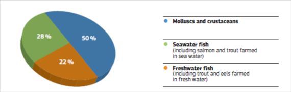 The overall value of the output of the processing industry amounts to around EUR 20 billion. Spain, the United Kingdom, France, Germany and Italy are the leading countries in terms of production.