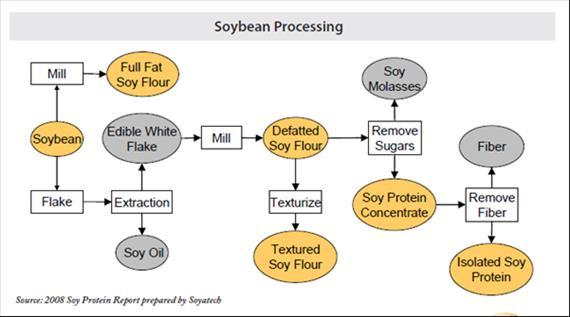 High due to increased international demand for food applications, and the demand for biodiesel, those processors are crushing more for oil.