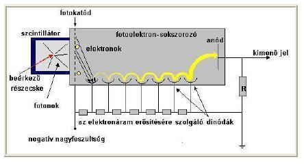 Szcintillációs detektor és fotoelektronsokszorozó A detektorból érkező fényfotonok a fotokatódra beesve