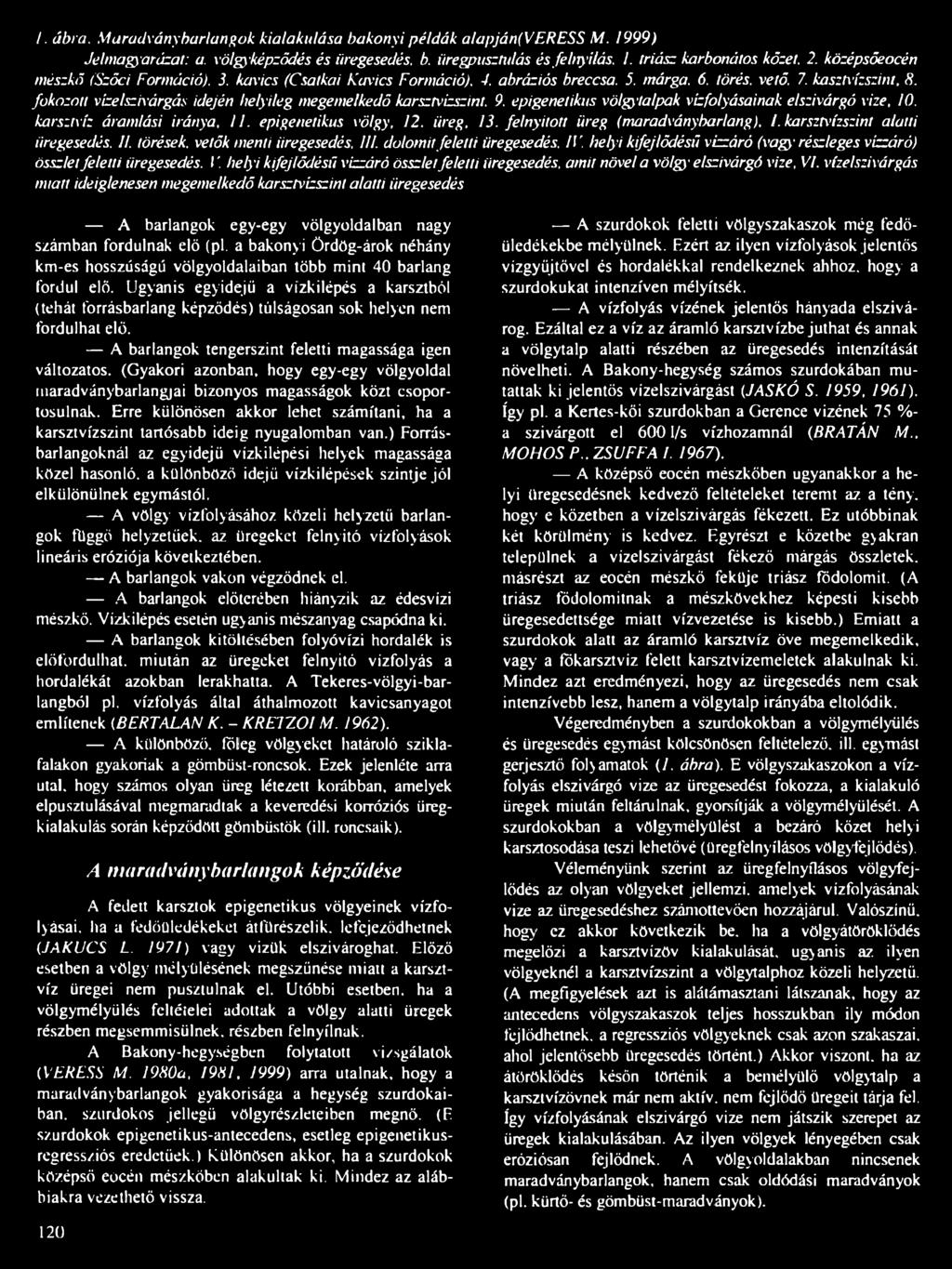 fokozott vízelszivárgás idején helyileg megemelkedő karsztvizszint. 9. epigenetikus völgytalpak vízfolyásainak elszivárgó vize, 10. karsztvíz áramlási iránya, II. epigenetikus völgy, 12. üreg, 13.