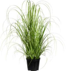 ezonális iárusítás 5.990,-** 3. 990,- 13 Feszített vászonkép kb. 116/78cm 1.