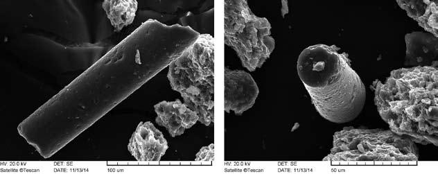Isztriai amforák és nyersanyagaik nehézásványai 107 elektronmikro szkópos vizsgálati alapján a limonitos elegyrészeken túl biotit, idiomorf pirit (20/A ábra), hornblende, és koptatott, idiomorf és