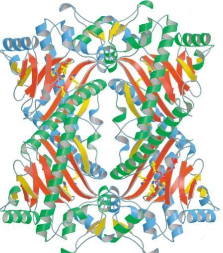 Literature overview consisting of two histidine and one aspartate residues with a single ferrous ion in the centre.