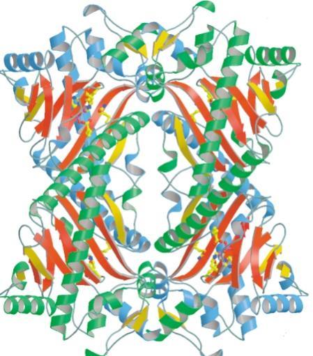 Literature overview consisting of two histidine and one aspartate residues with a single ferrous ion in the centre.