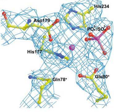 [59] The remaining three places are occupied by H 2 molecules, which can be replaced by the substrate or dioxygen.