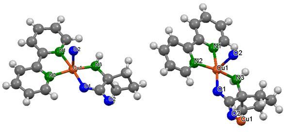 Results and discussion Figure 30. X-ray structure of [Cu II (bpy)(acbc)]cl 4.H 2 