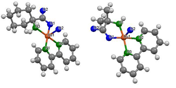 X-ray structure of [Cu II (bpy)(achc)]cl 4.H 2 and [Cu II (bpy)(aib)(h 2 )]Cl 4.