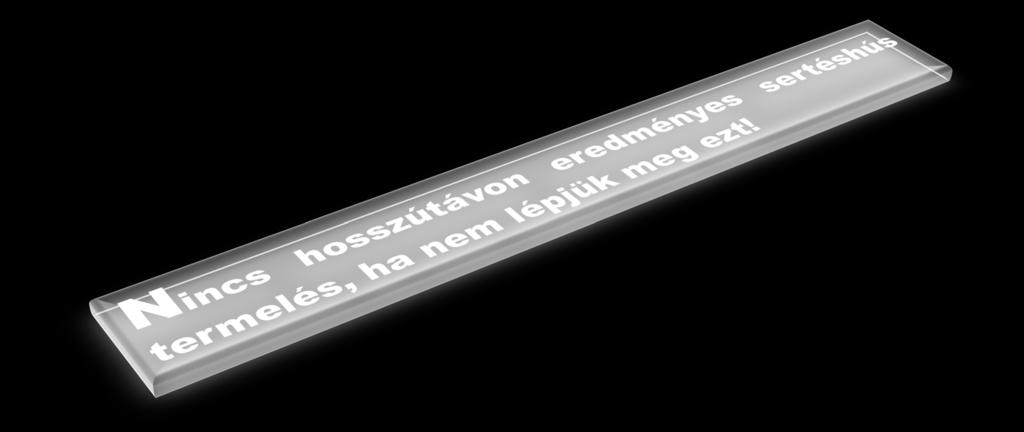 Legfontosabb tények amelyek a sertés hizlalásban változtak 1960 AI/AO 1980 MEW, MMEW 1990 ISOWEAN, SEW 2000 MSP 2000-es évek