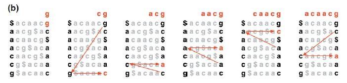 Determine its location in F and find its corresponding predecessor in L using C(.) and r(.,.) i.e., find