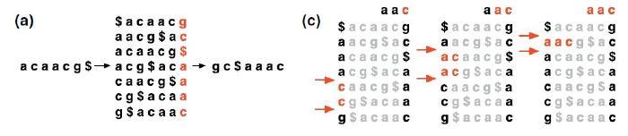 P = aac Example of running EXACTMATCH to