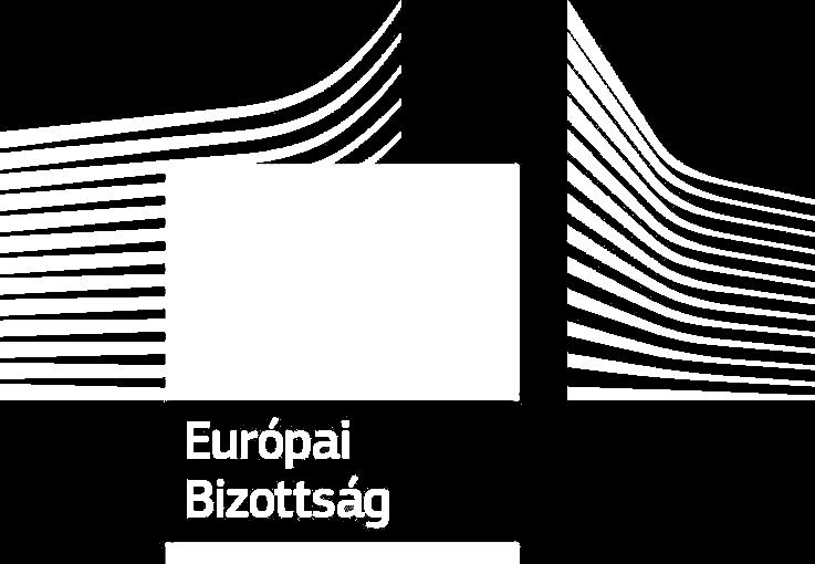 ELISMERÉSRŐL ÉS VÉGREHAJTÁSRÓL SZÓLÓ, 1996.