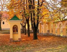 Mindkét alkalommal 8 és 12 óra között lesz a takarítási akció. Szeptember 13-án, szombaton este ismét megvendégelnénk a zarándokokat szendvicsekkel és süteményekkel.