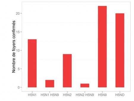 HPAI 2015-2016: virológiaiadatok 3 HPAIszubtípus: H5N1, H5N2 & H5N9 Legalább három esetben