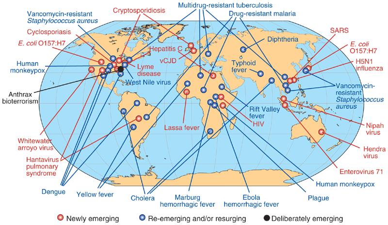 Global examples Fertőző betegségek of emerging