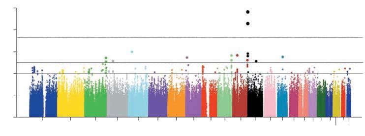 Figure 1: Results of the Association of Stroke with Snp Tested in GWAS 10 log 10 P-Value 8 6 4 2 0 1 2 3 4 5 6 7 8 9 10 11 12 13 14 1516171819 21 20 22 Chromosome Note: P-Value (based on the