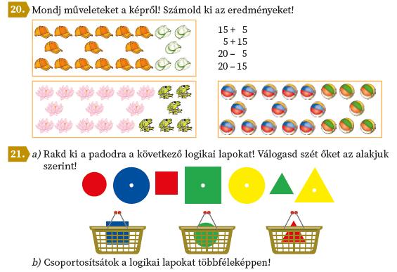 kísérletezésre, gyűjtőmunkára, tapasztalat útján szerzett